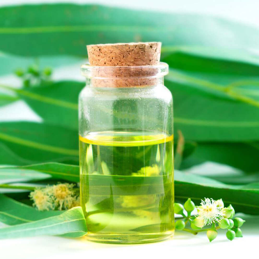 Here Are Some Technical Details About Eucalyptus Oil BP